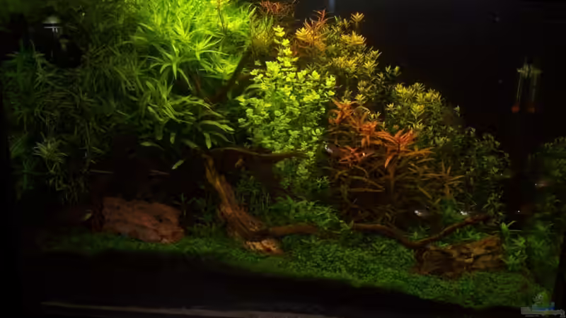 14.05.2010 von Gunnar Otte (1)