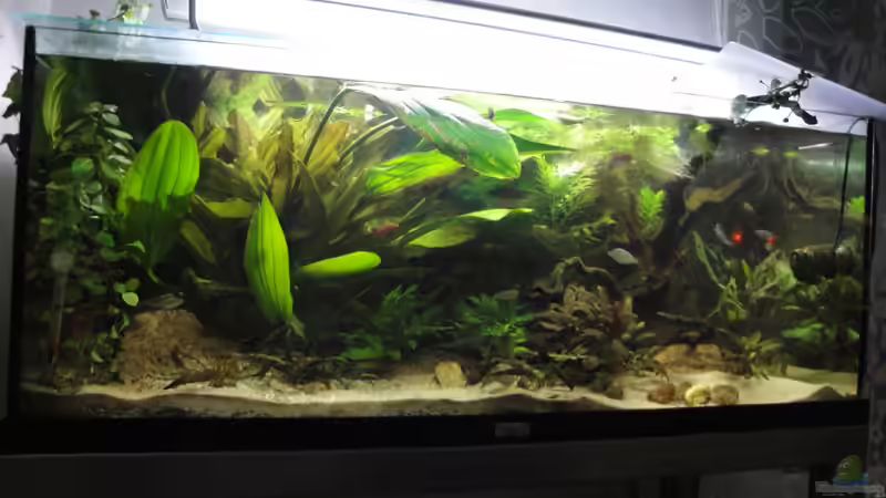 14.06.10 von Laura (11)