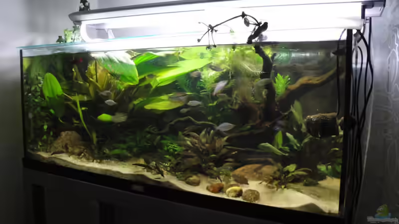 14.06.10 von Laura (12)