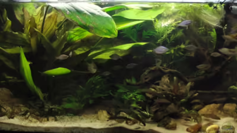 14.06.10 von Laura (13)