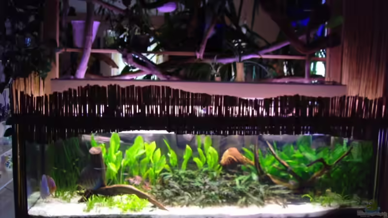 14.07.07 von Peggy Findeisen (1)