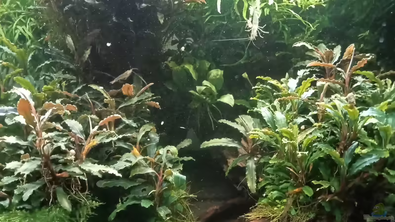 14.07.2023 von Mr-Shrimp (45)