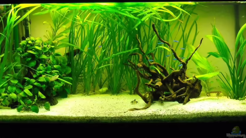 14.08.11 von Fabian Ber (2)