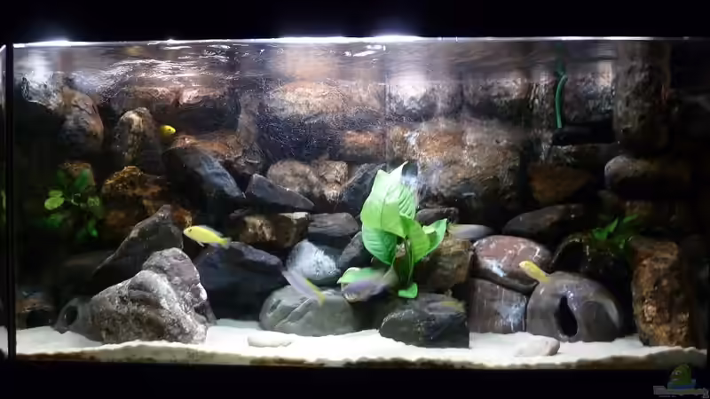 14.08.2013 Nach Umgestaltung  von Der Michel (20)