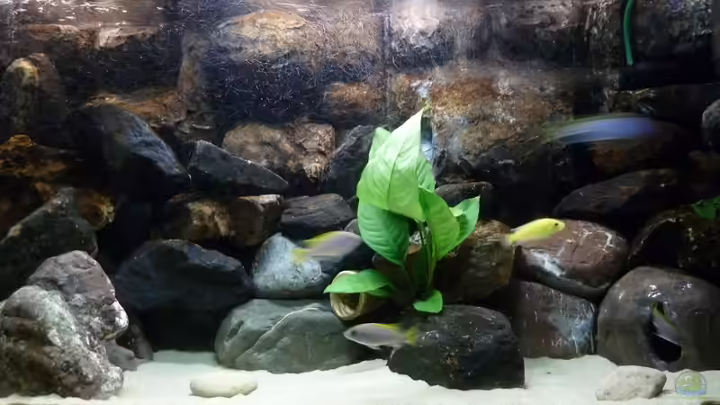 14.08.2013 Nach Umgestaltung Mitte von Der Michel (18)