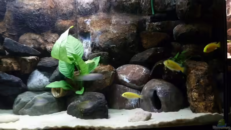 14.08.2013 Nach Umgestaltung Rechts von Der Michel (19)