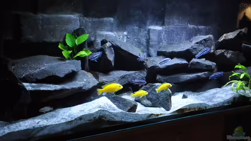 14.08.2013 von DominikZ (1)