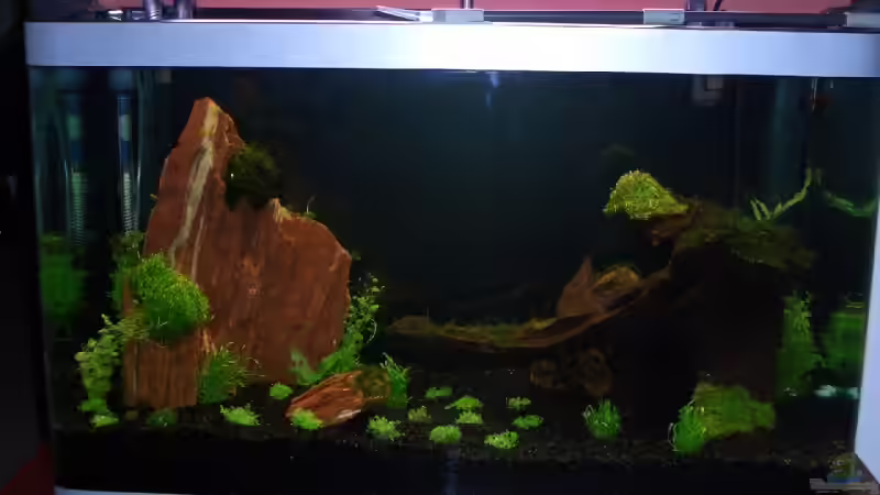 14.09.08 von Chili (4)