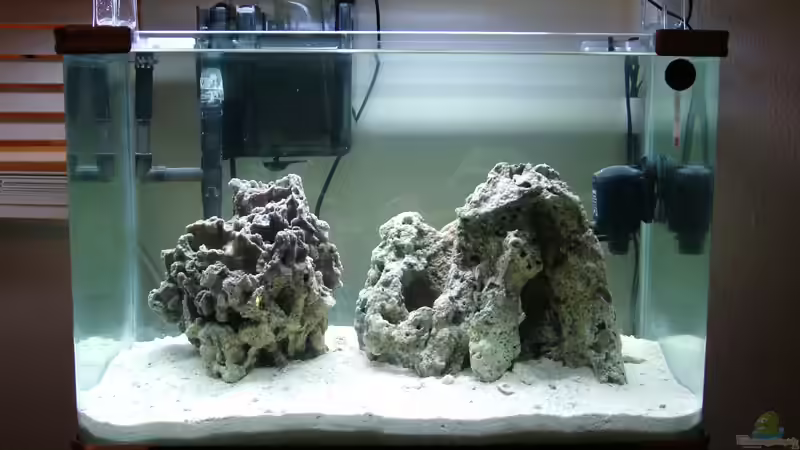 14.09.2008 von Merya (2)