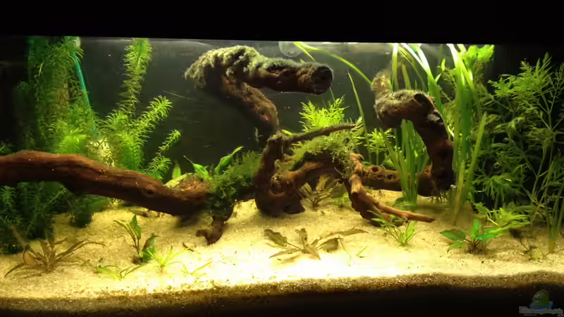 14.1.12 von Andrea Rüter (10)