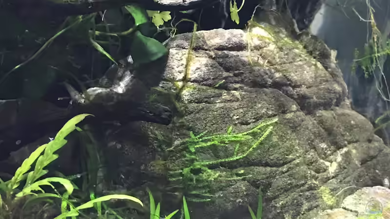 14.10.18 von Der Nicky (10)