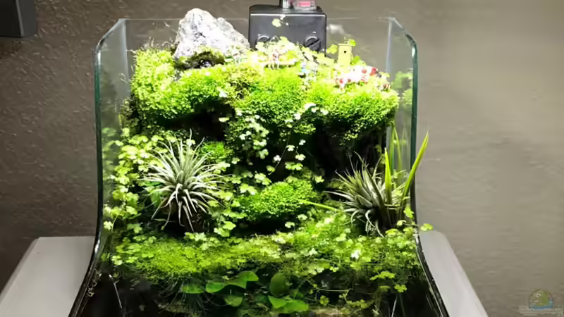 14.10.18 von Der Nicky (11)