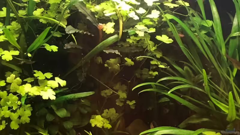 14.10.18 von Der Nicky (11)