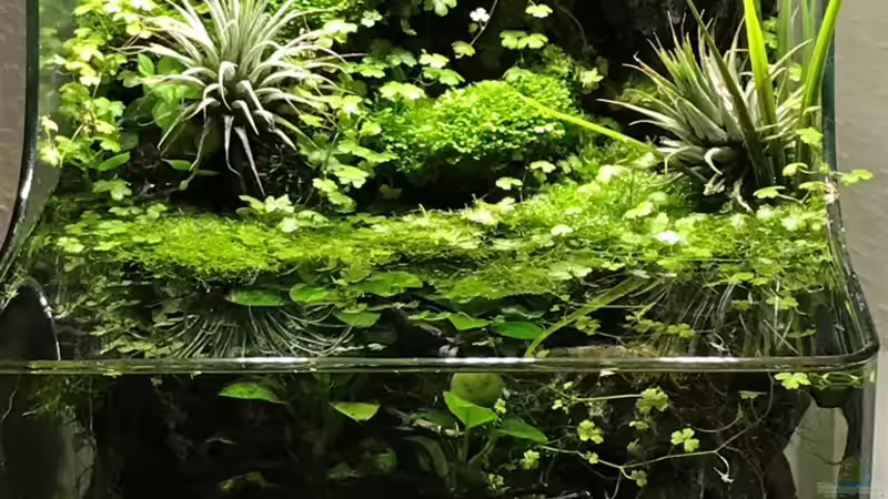 14.10.18 von Der Nicky (12)