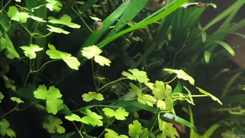 14.10.18 von Der Nicky (12)