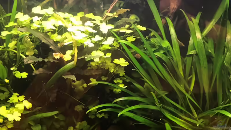 14.10.18 von Der Nicky (13)