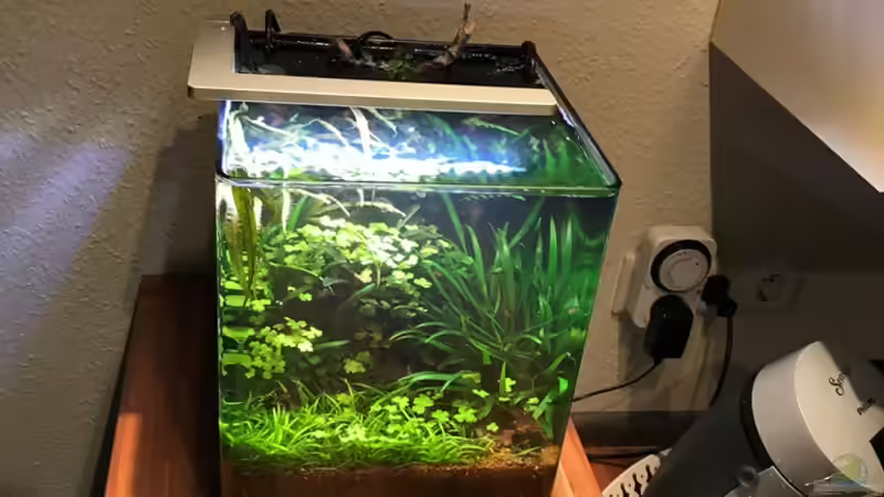 14.10.18 von Der Nicky (14)