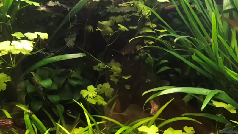 14.10.18 von Der Nicky (15)