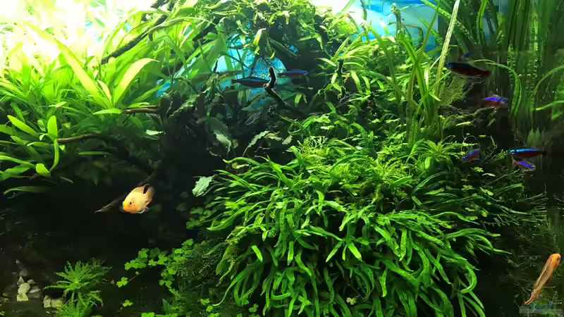 14.10.18 von Der Nicky (25)