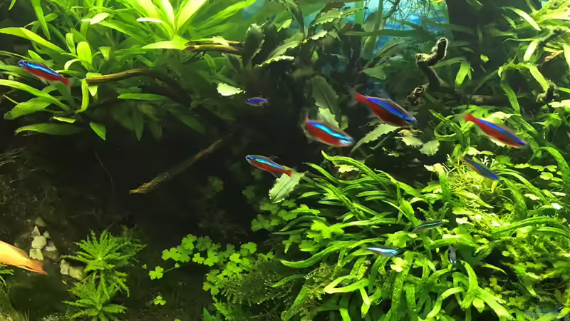 14.10.18 von Der Nicky (26)