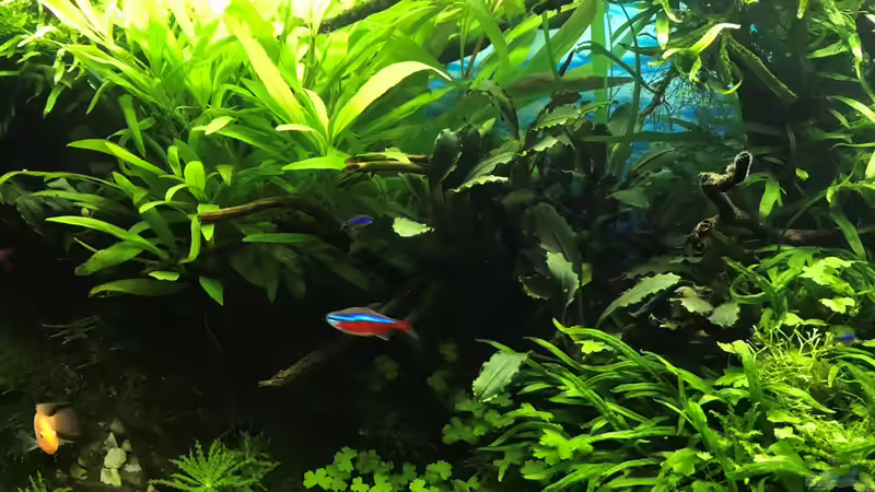 14.10.18 von Der Nicky (27)