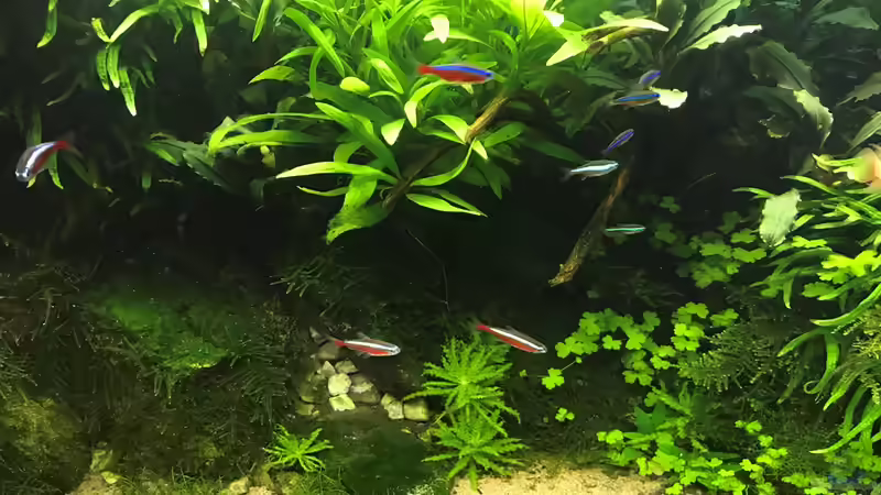 14.10.18 von Der Nicky (28)