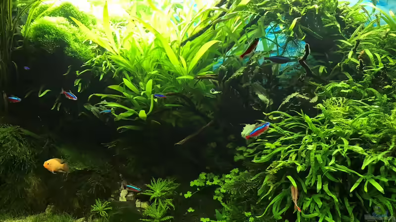 14.10.18 von Der Nicky (29)