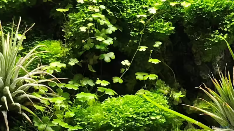 14.10.18 von Der Nicky (3)