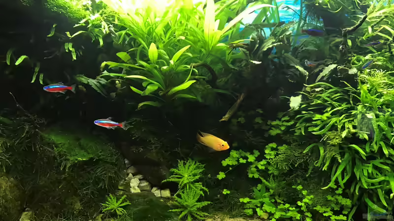 14.10.18 von Der Nicky (30)