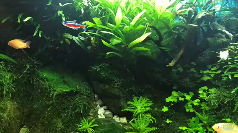 14.10.18 von Der Nicky (31)