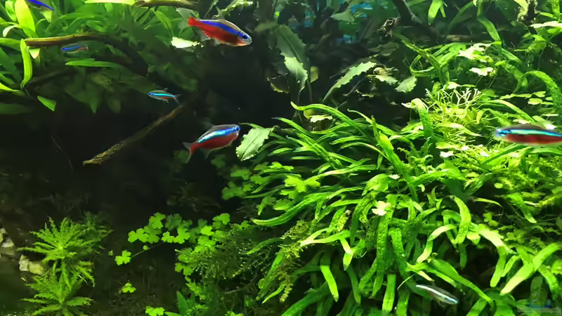 14.10.18 von Der Nicky (33)