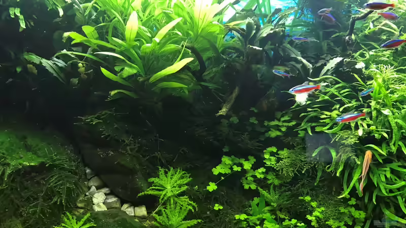 14.10.18 von Der Nicky (35)