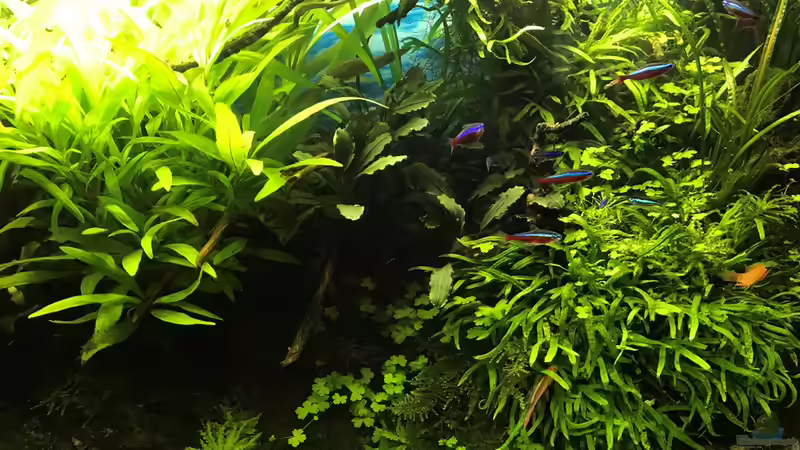 14.10.18 von Der Nicky (36)