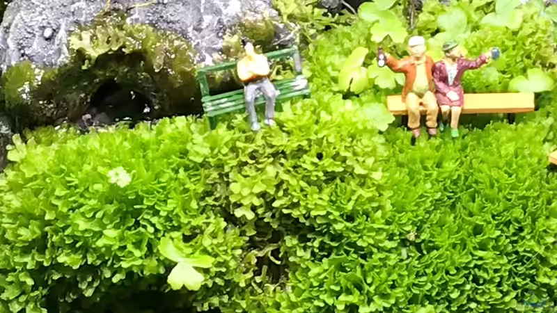 14.10.18 von Der Nicky (5)