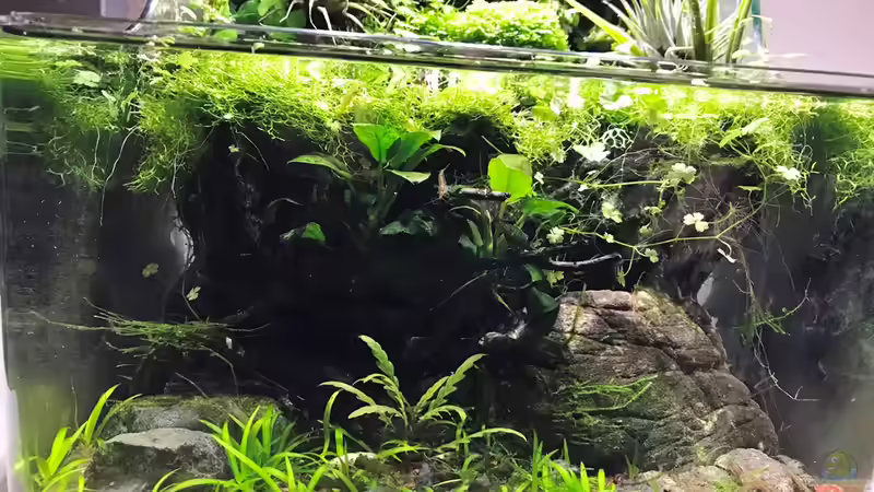 14.10.18 von Der Nicky (6)