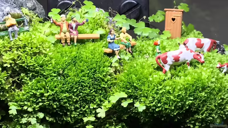 14.10.18 von Der Nicky (8)