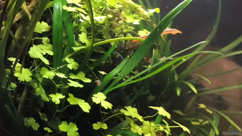 14.10.18 von Der Nicky (8)