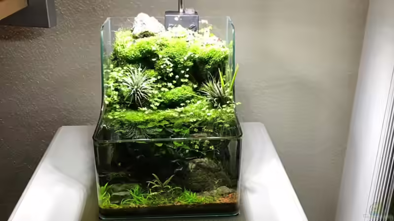 14.10.18 von Der Nicky (9)