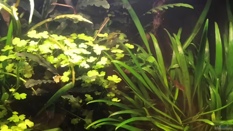 14.10.18 von Der Nicky (9)