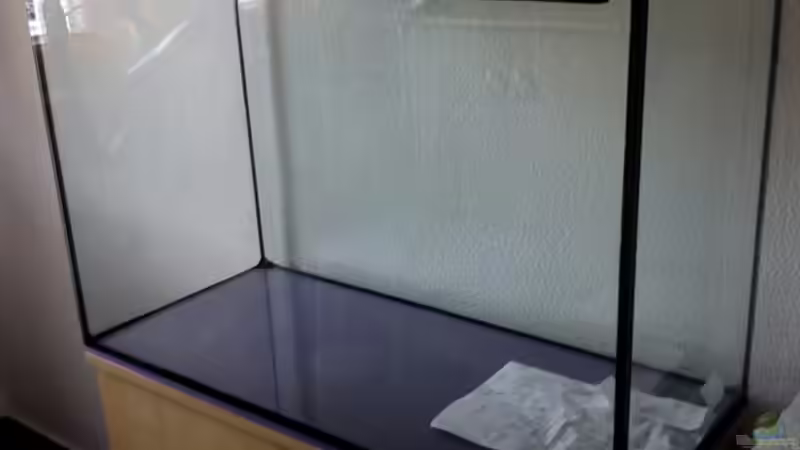 14.10.2010 Mein Becken ist gekommen von @mazonas (3)