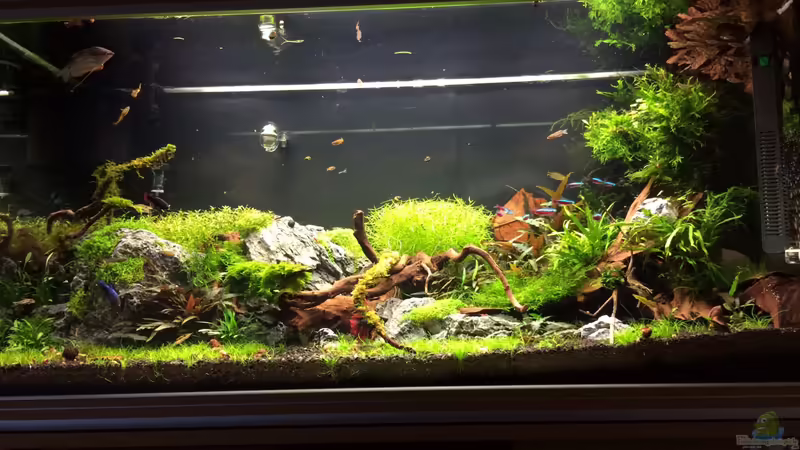 14.10.2013 von Walde (8)