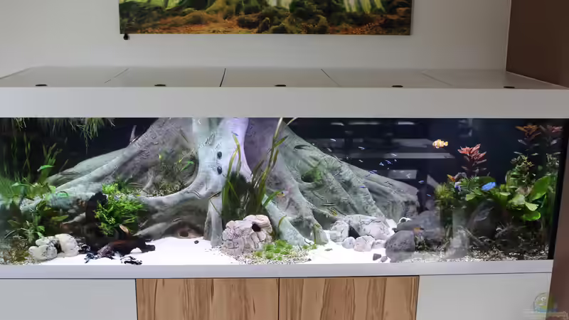 14.10.2016 von Wabi (1)