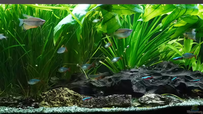 14.10.2023 von Pegnitz (1)