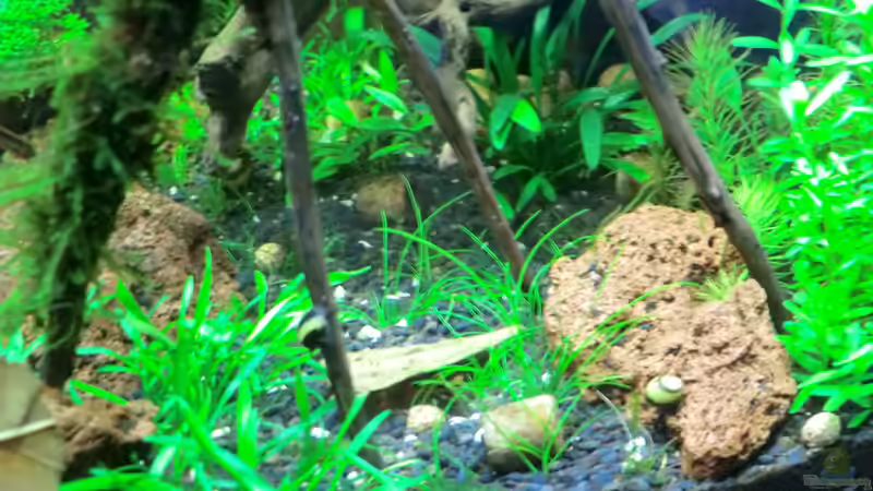 14.10 von Walde (63)