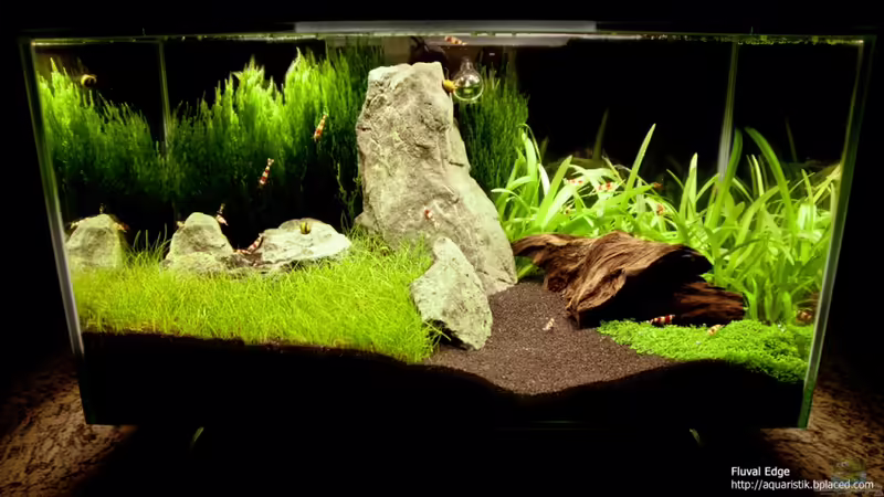 14.11.2010 von Maik A. (5)