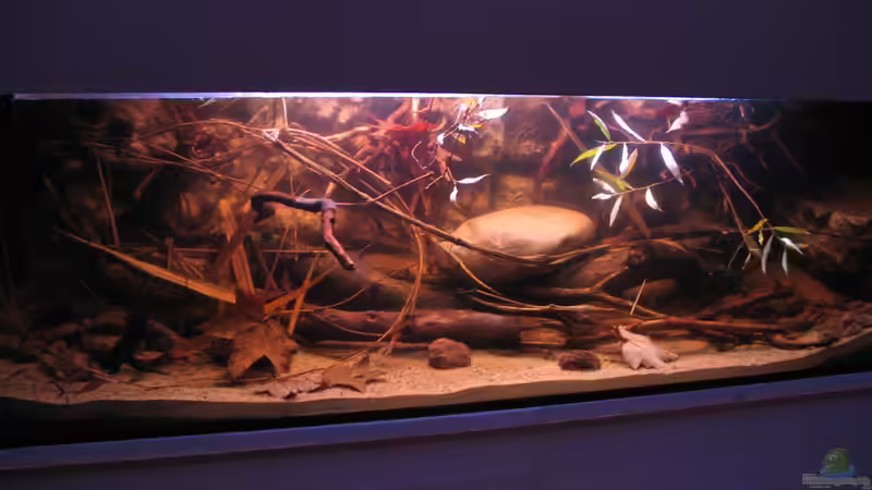 14.11.2015 schräg von links von der Theoretiker (21)