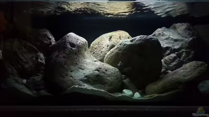 Einrichtungsbeispiele für Aquarien mit Produkten von Rockzolid