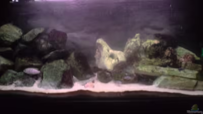 14.12.08 von Michael Kaltenbach (2)