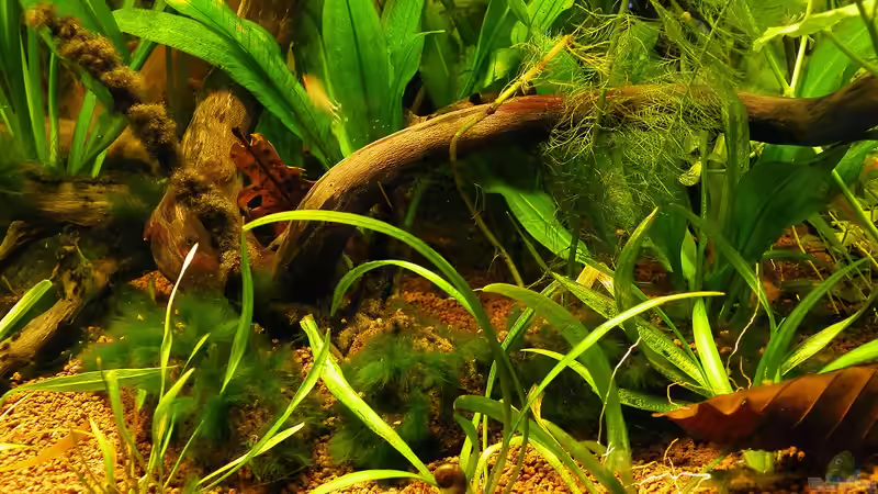 14.12.2011 - Dekoration von bergfrau (20)