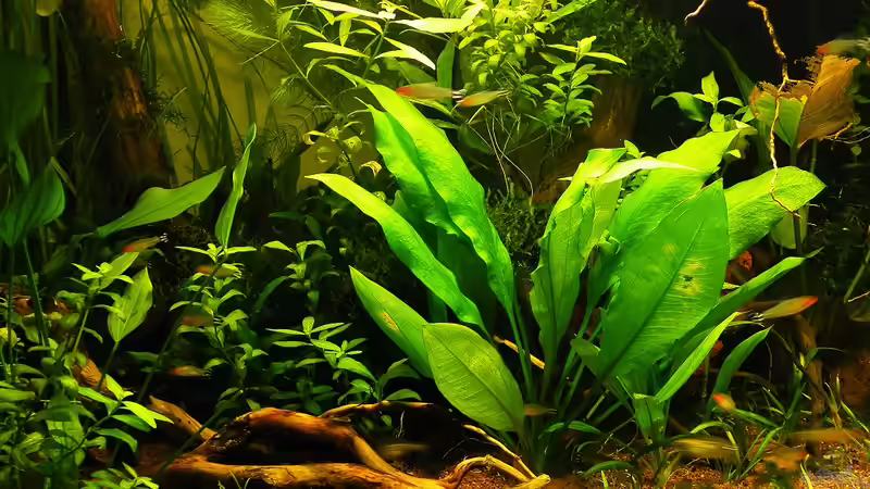 14.12.2011 - Links von bergfrau (13)